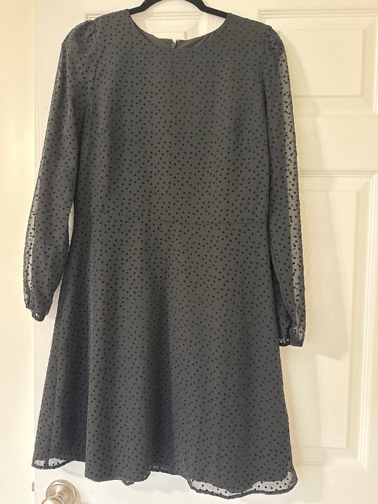 Black Long-Sleeve Polka Dot A-Line Dress – Sheer Sleeves, Lightweight & Feminine - Picture 1 of 1